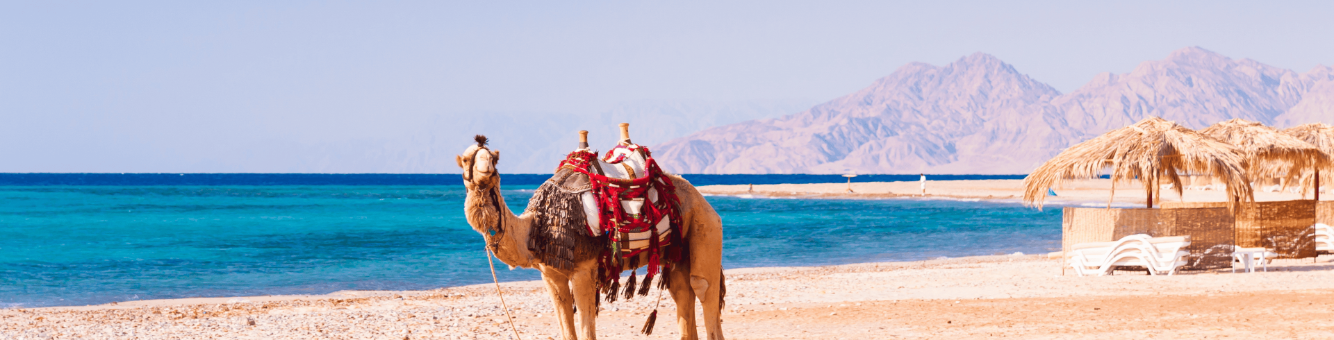 Egito com Cruzeiro pelo Nilo & Hurghada 